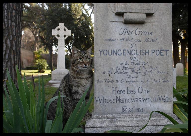 Tomba di Keats, Cimitero Acattolico, Roma.