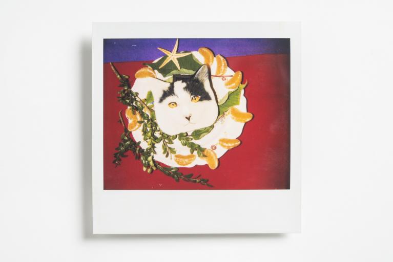 Rosa Foschi, Wit 5, 1996, polaroid 10x10 cm,