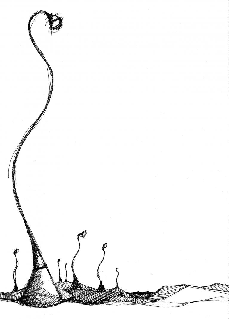 Wadada.