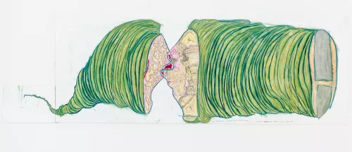 Lo Squalatore Sessuale che si bacia le ferite, 50x165, 2015, Giovanni, Atelier dell'errore.