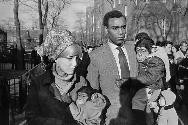 garry-winogrand-monkeys