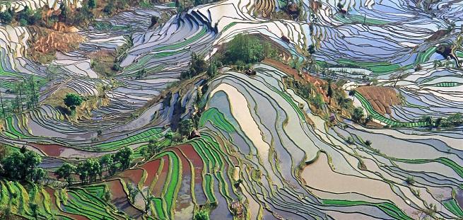 https://www.doppiozero.com/sites/default/files/imagecache/rub-art-preview/terrace_field_yunnan_china_denoised_0.jpg