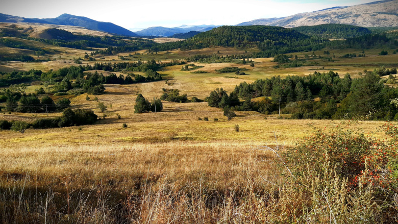 Bosnia