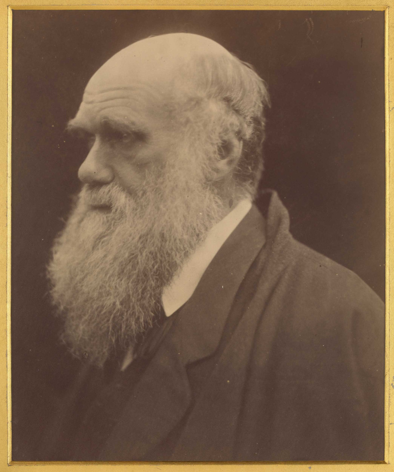 darwin