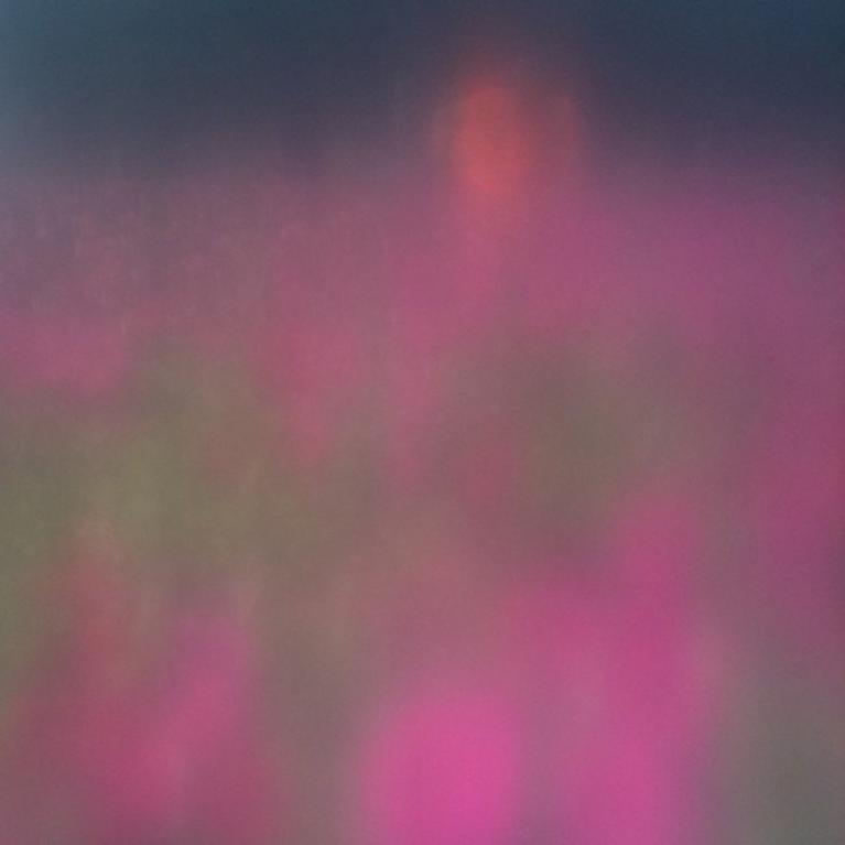 i ♥ my new filter! @ tanti fiori rosa, una persona arancione.
