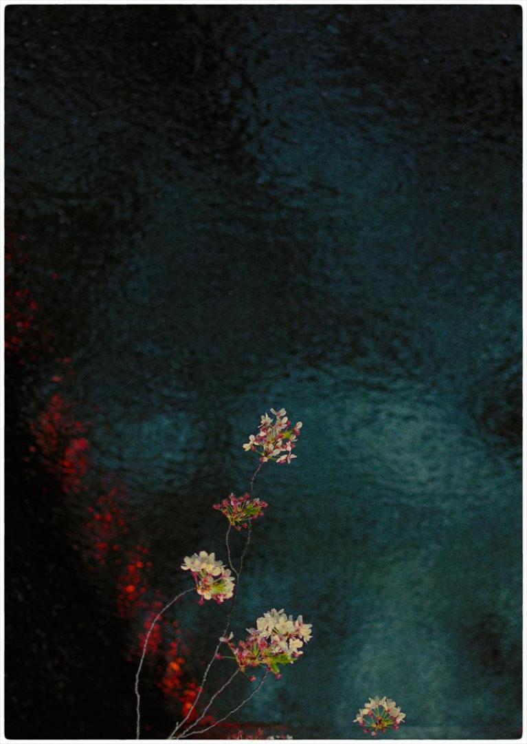 Ph Albarran e Cabrera.