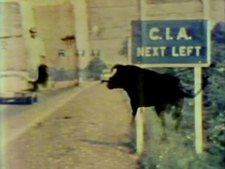 4. William E. Jones, Psychic Driving (still frame). Courtesy the artist, Galleria Raffaella Cortese