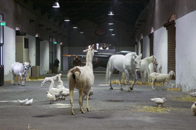 Paola Pivi, Interesting, 2006, performance con animali bianchi, Courtesy Fondazione Nicola Trussardi, Milano, © l'artista (foto: Hugo Glendinning)