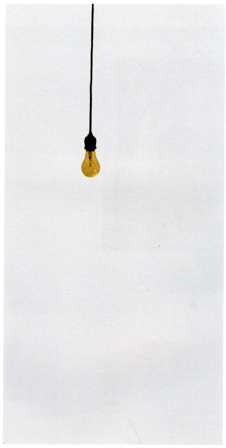 Michelangelo Pistoletto, Lampadina, 1964, collezione Robert Rauschenberg