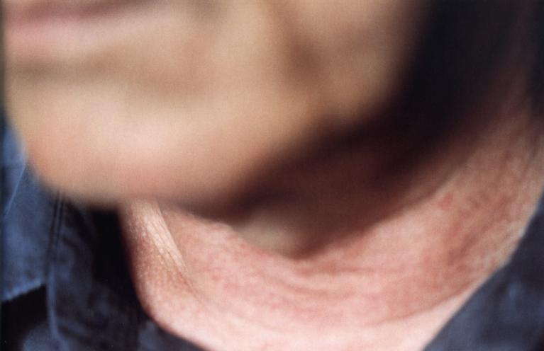 Marina Ballo Charmet, Primo campo, 2004