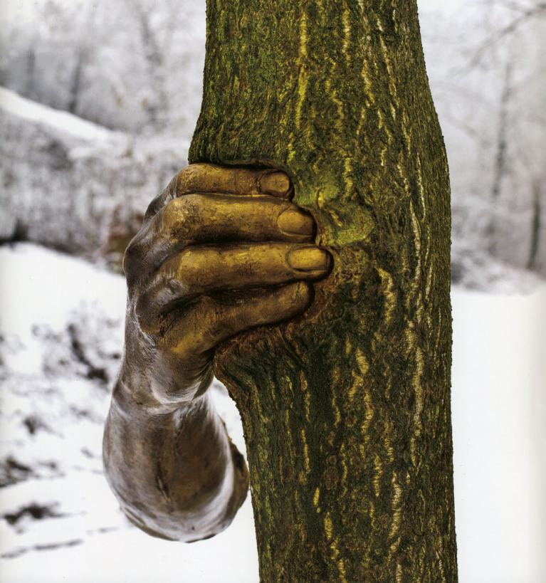 Giuseppe Penone, Continuerà a crescere tranne che in quel punto, 1968-2003