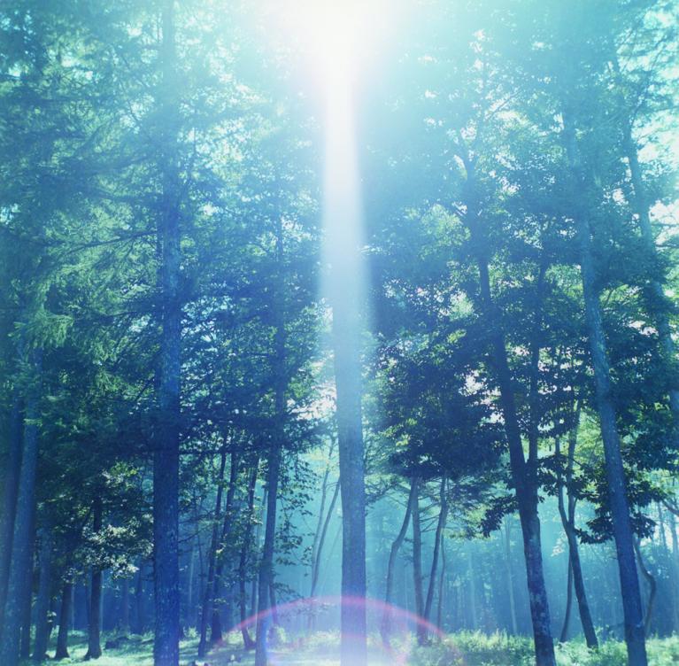 Rinko Kawauchi - Illuminance