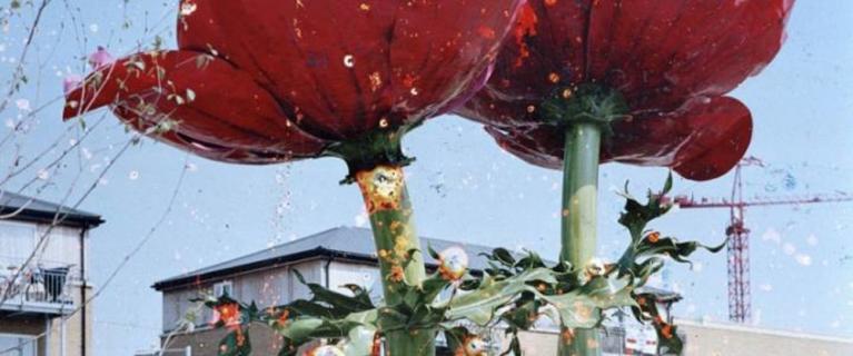 Stephen Gill, Untitled, da 'Hackney Flowers'