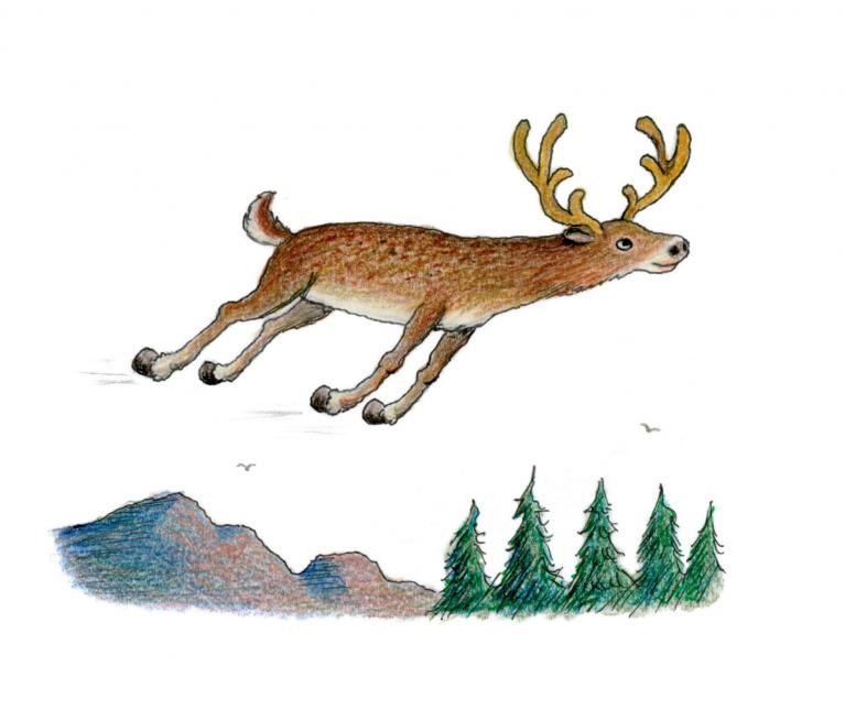Franco Matticchio, Cervolante, da "Animali sbagliati", Vànvere edizioni 2016.