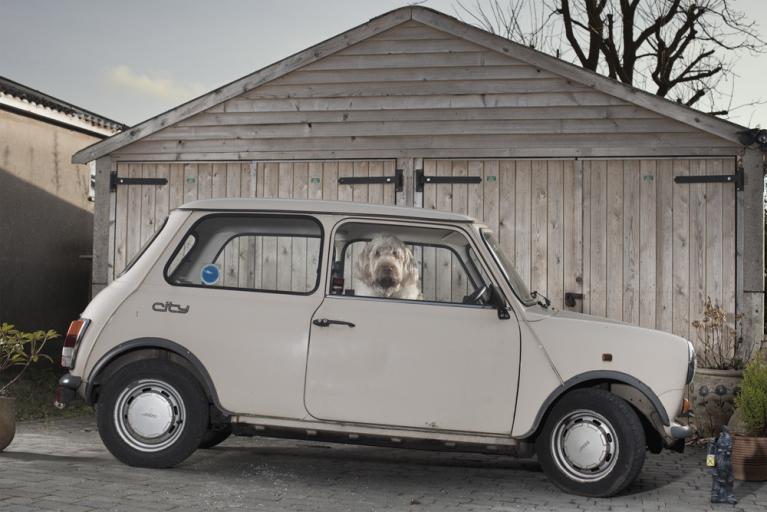 Fotografie di Martin Usborne
