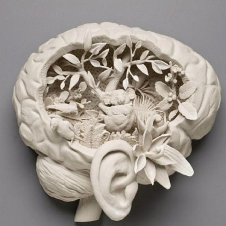 Kate MacDowell