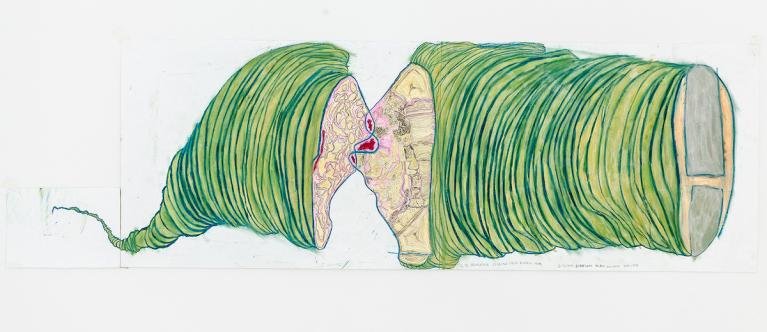 Lo Squalatore Sessuale che si bacia le ferite, 50x165, 2015, Giovanni, Atelier dell'errore.