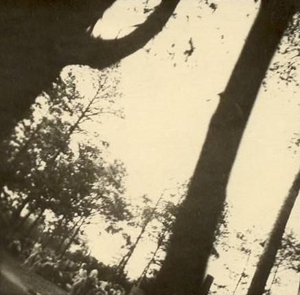 Negativo 282, Donne spinte verso la camera a gas del crematorio V di Auschwitz.