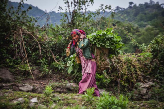 Darchula, Nepal, 2014 © Jitendra Bajracharya.