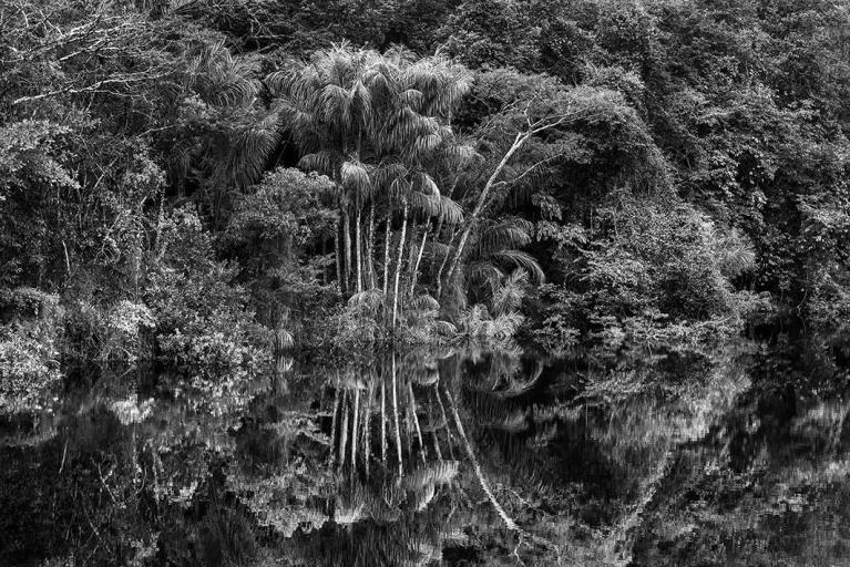 Rio Jaú. Stato di Amazonas, Brasile, 2019 - © Sebastião Salgado/Contrasto.