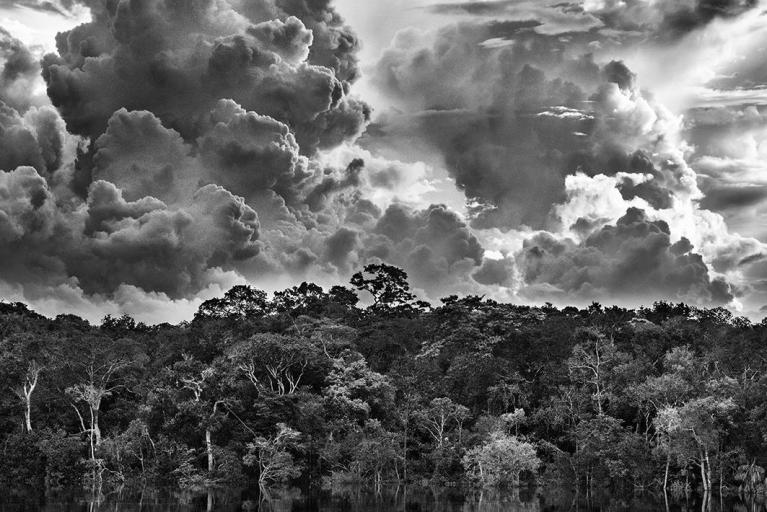 Arcipelago fluviale di Mariuá. Rio Negro. Stato di Amazonas, Brasile, 2019 - © Sebastião Salgado/Contrasto.