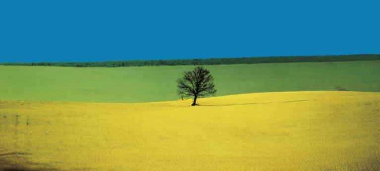 Ph Franco Fontana.