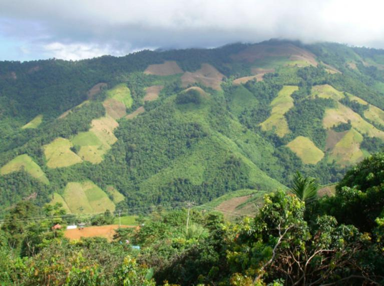 Il paeasaggio “sbagliato” forgiato dalla tecnica”taglia e brucia” praticata dagli agricoltori semi-nomadi Lua e Hmong