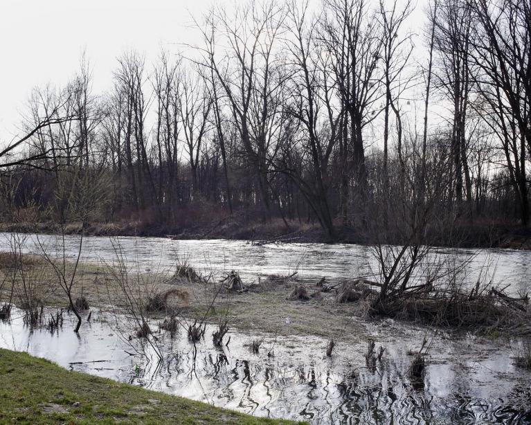 ©Gianfranco Gallucci, Soła river, Oświęcim (2017).
