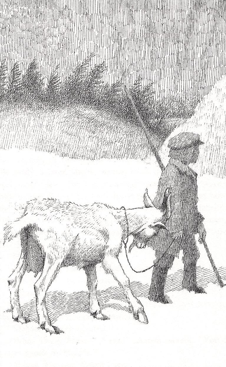 05.jpg