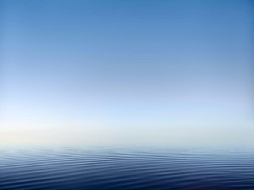 Ph Murray Fredericks.