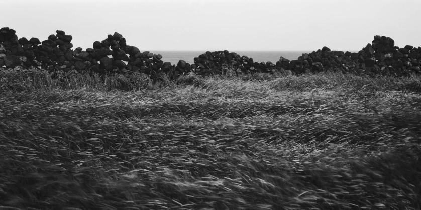 Ph Bae Bien-U.