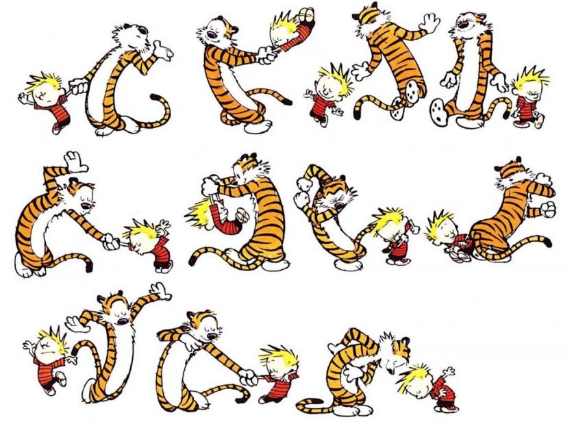 12.Calvin e Hobbes di Bill Watterson.jpeg