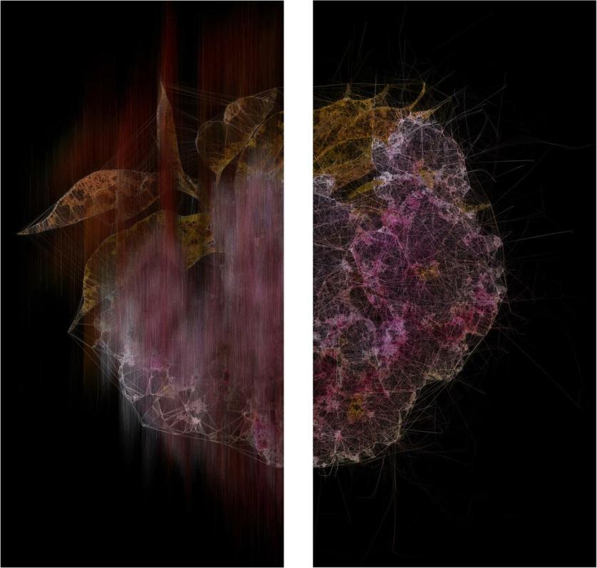 Ryoichi Kurokawa, lttrans #8, (2018). Dittico, stampa digitale, 1200 x 600 mm ciascuno, © L’artista. Courtesy Takuro Someya Contemporary Art.