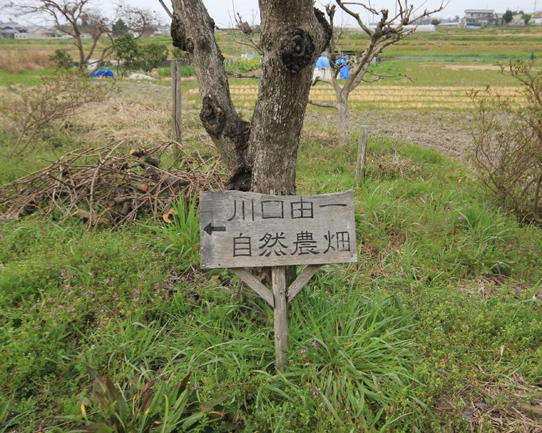 Nell’insegna si legge: “Yoshikazu Kawaguchi – campo di agricoltura naturale”.