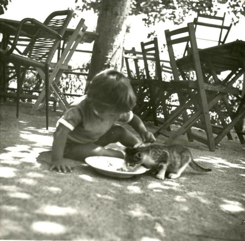 1967 IL CIBO E GLI AFFETTI STRAORDINARI.jpg