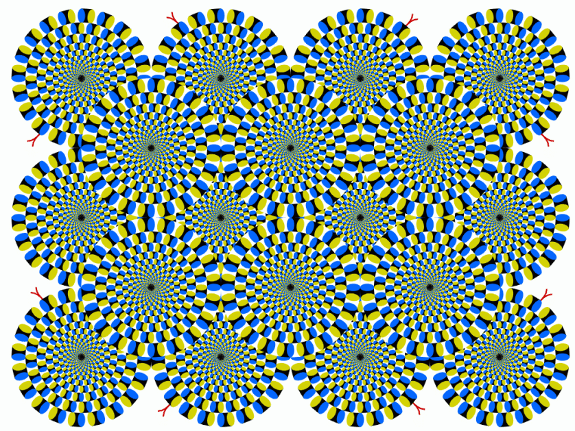 2.rotsnake-1.gif