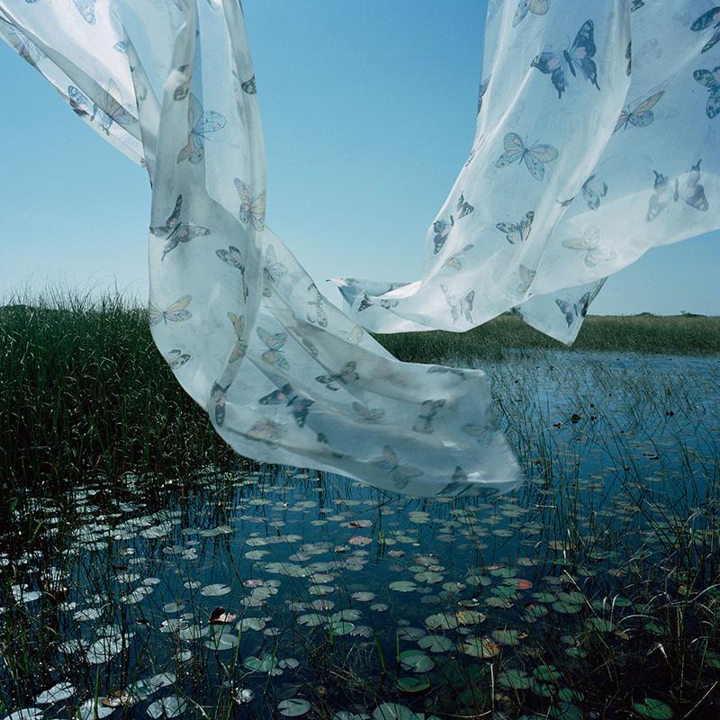Ph Rebecca Reeve.