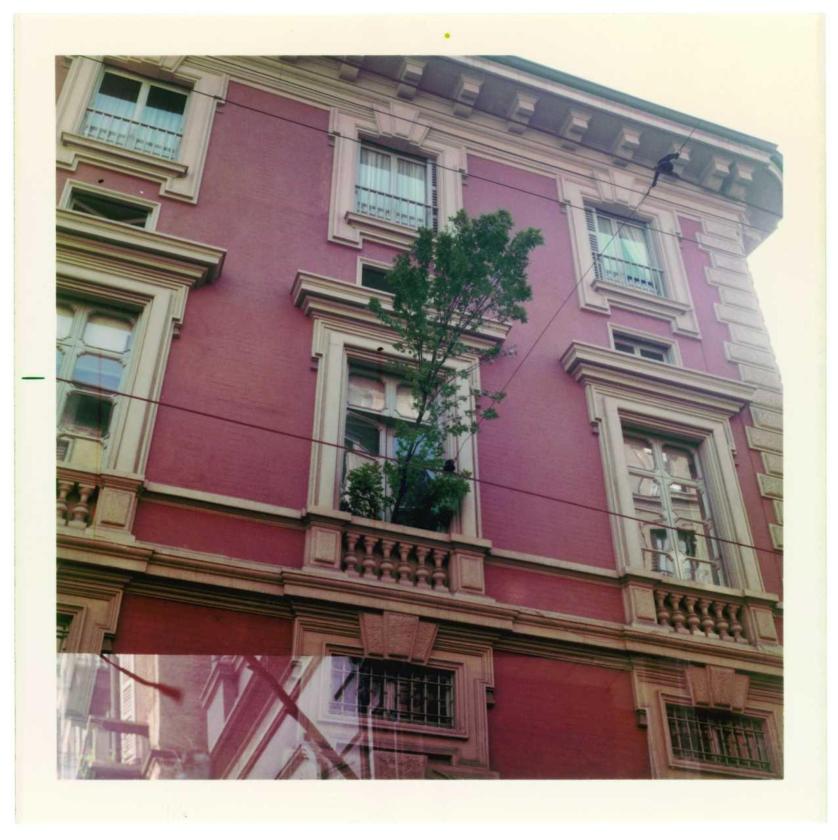 Hundertwasser, L’albero inquilino.