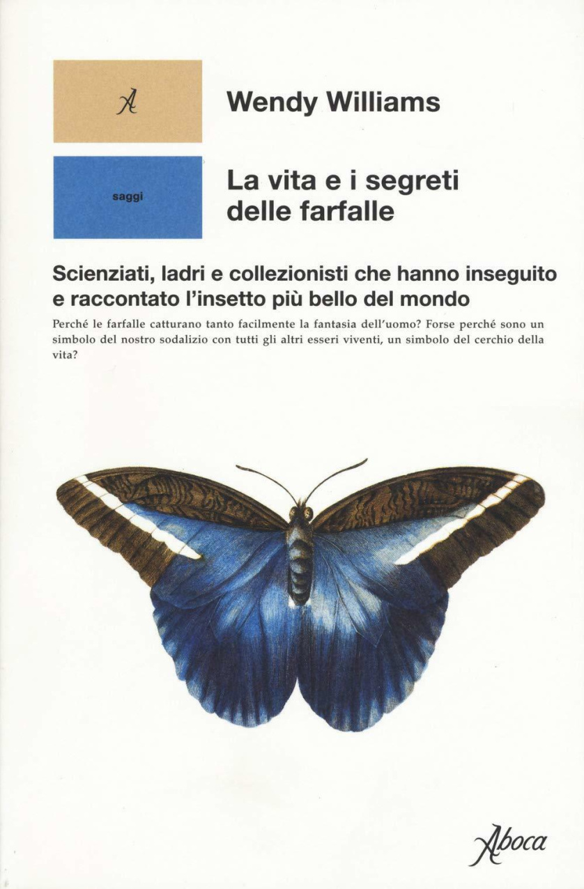 Farfalle  Marco Belpoliti