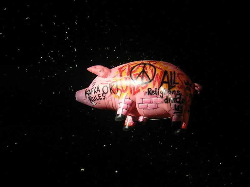 800px-pinkfloydpig.jpg