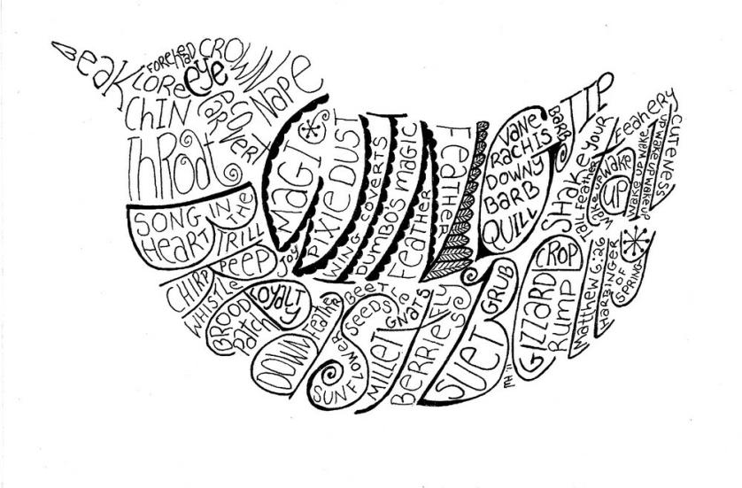 Bird86WhatLittleBirdsAremadeOf.jpg