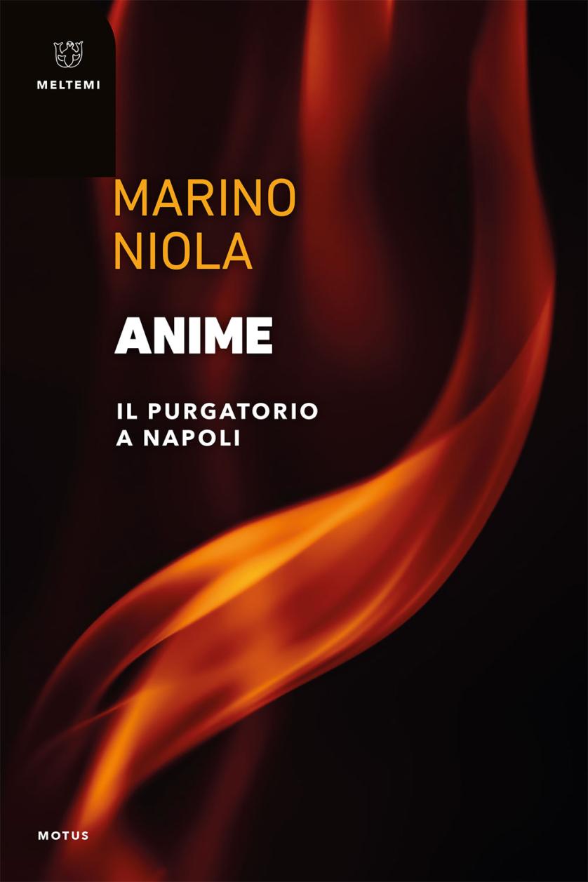COVER-motus-niola-anime.jpg