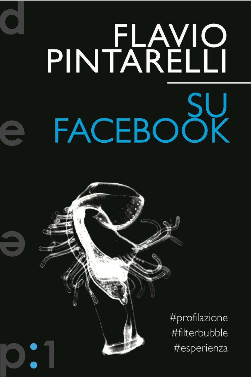 Pintarelli2013_SuFacebook1.jpg