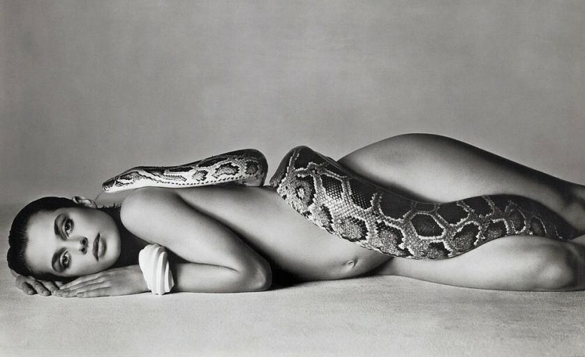 Fotografia di Richard Avedon