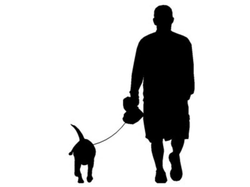 Silhouette_Man_Walking_Dog.jpg