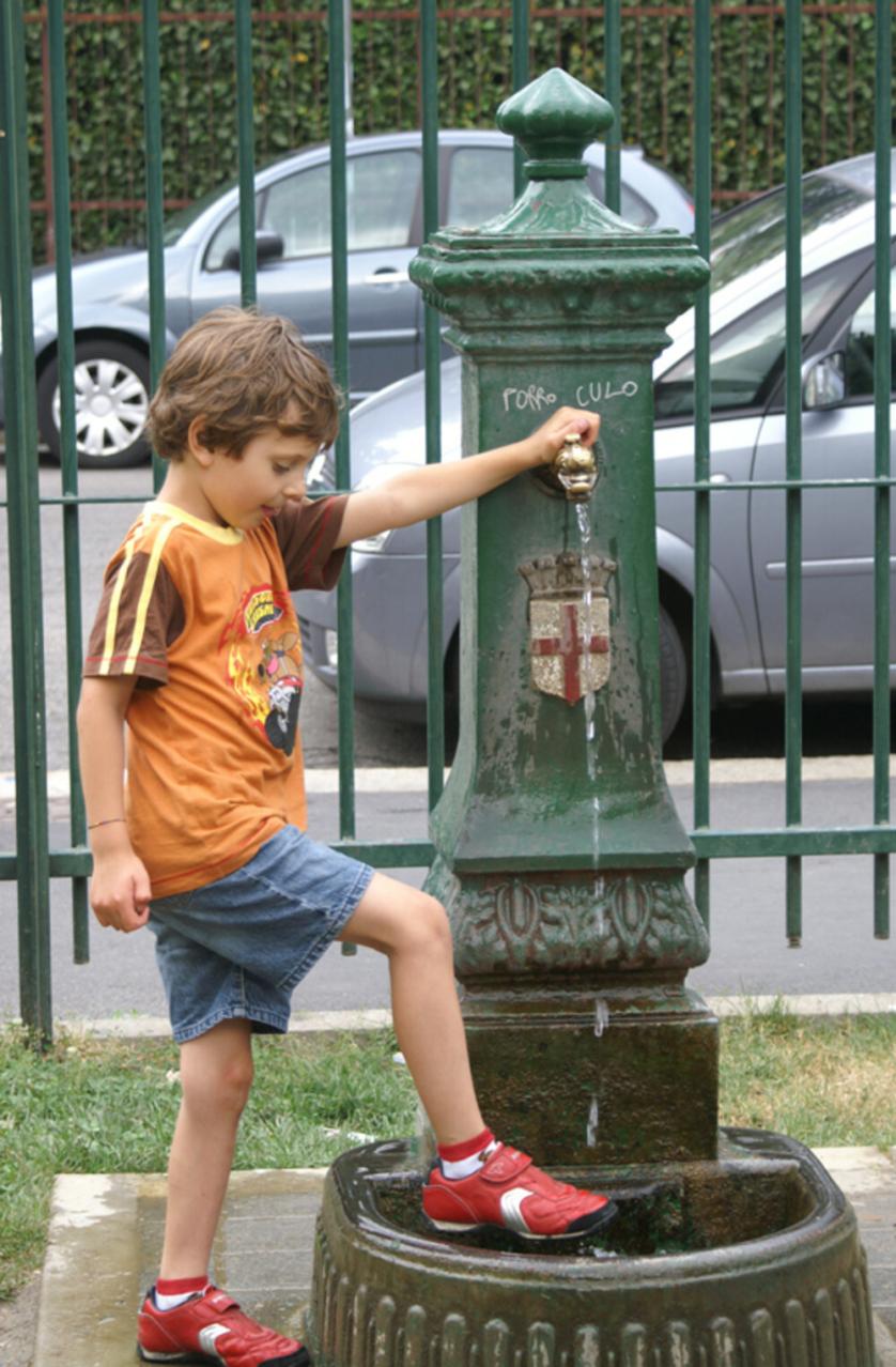 Vedovella del Giardino Bruno Munari. Via Toce. Milano.