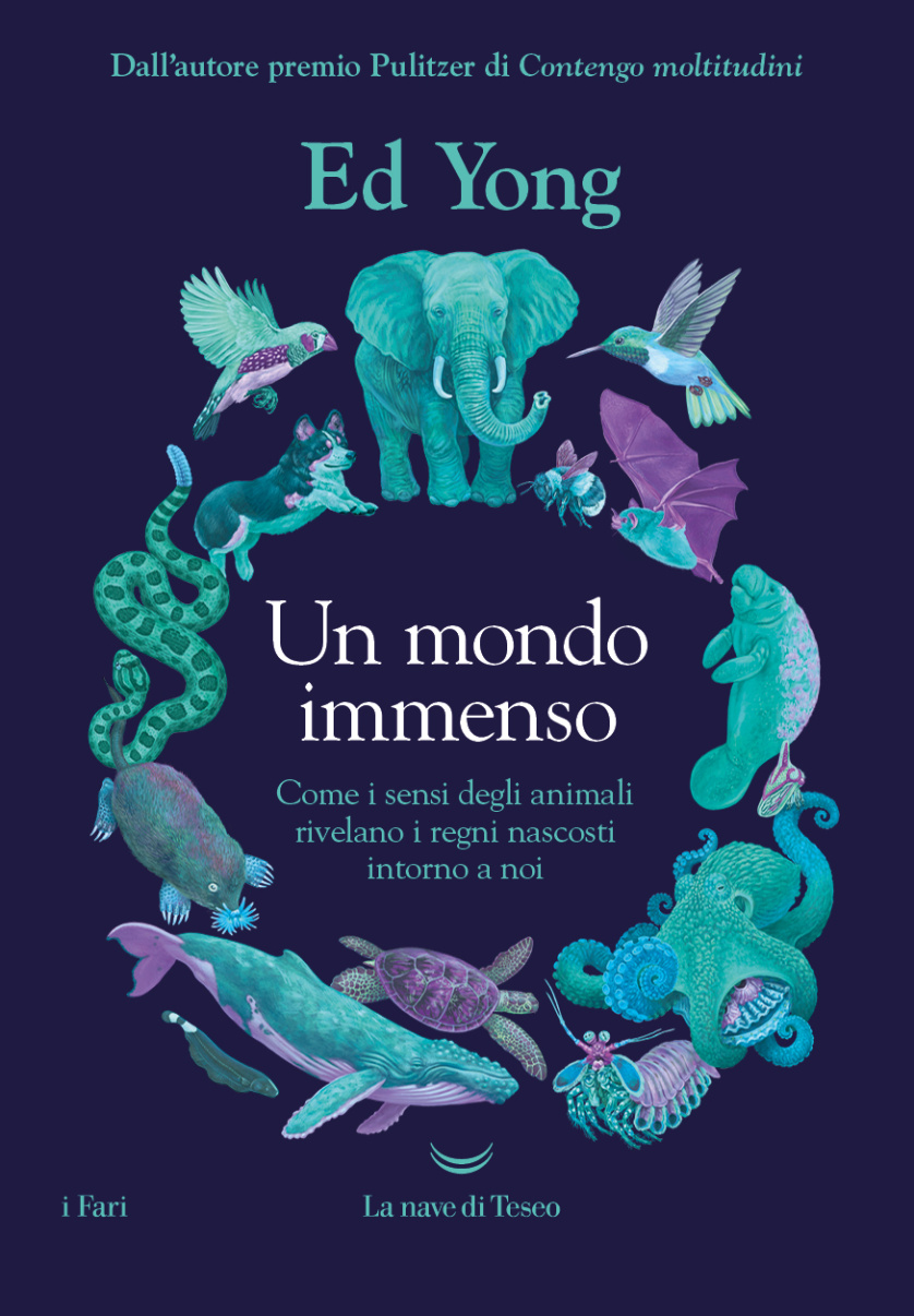 Yong_Un-mondoimmenso.jpeg
