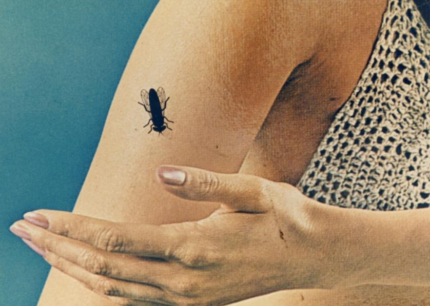Luigi Ghirri, dalla serie Kodachrome, 1971