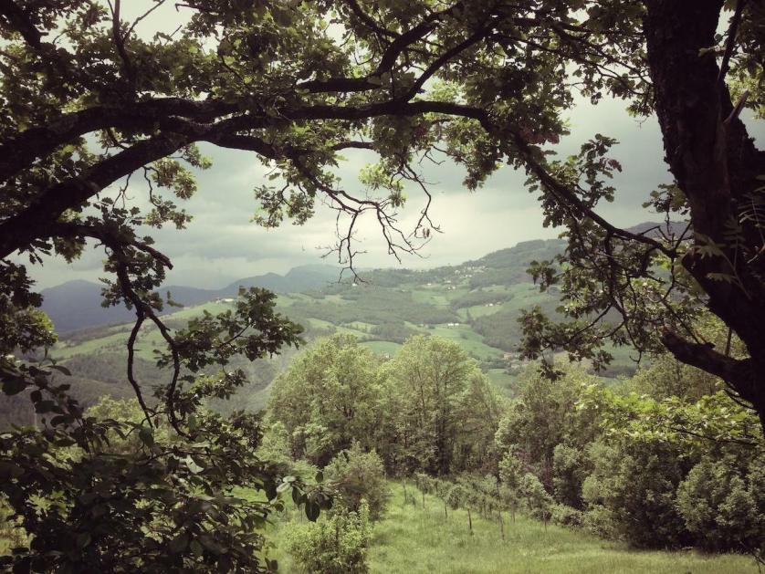 appennino4.jpg