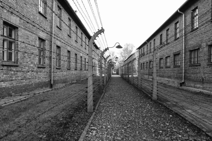 auschwitz-7.jpg